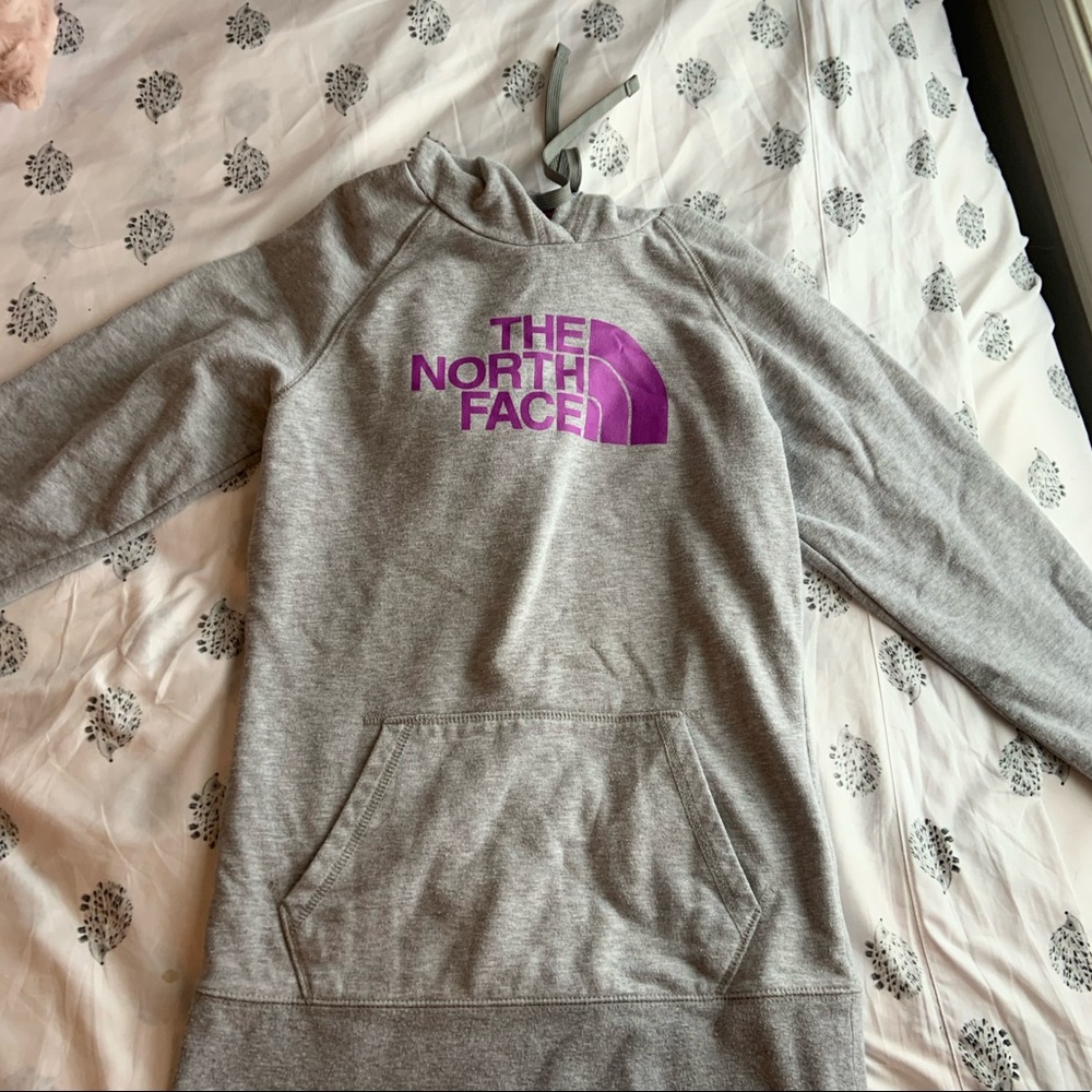The north face sweatshirt
